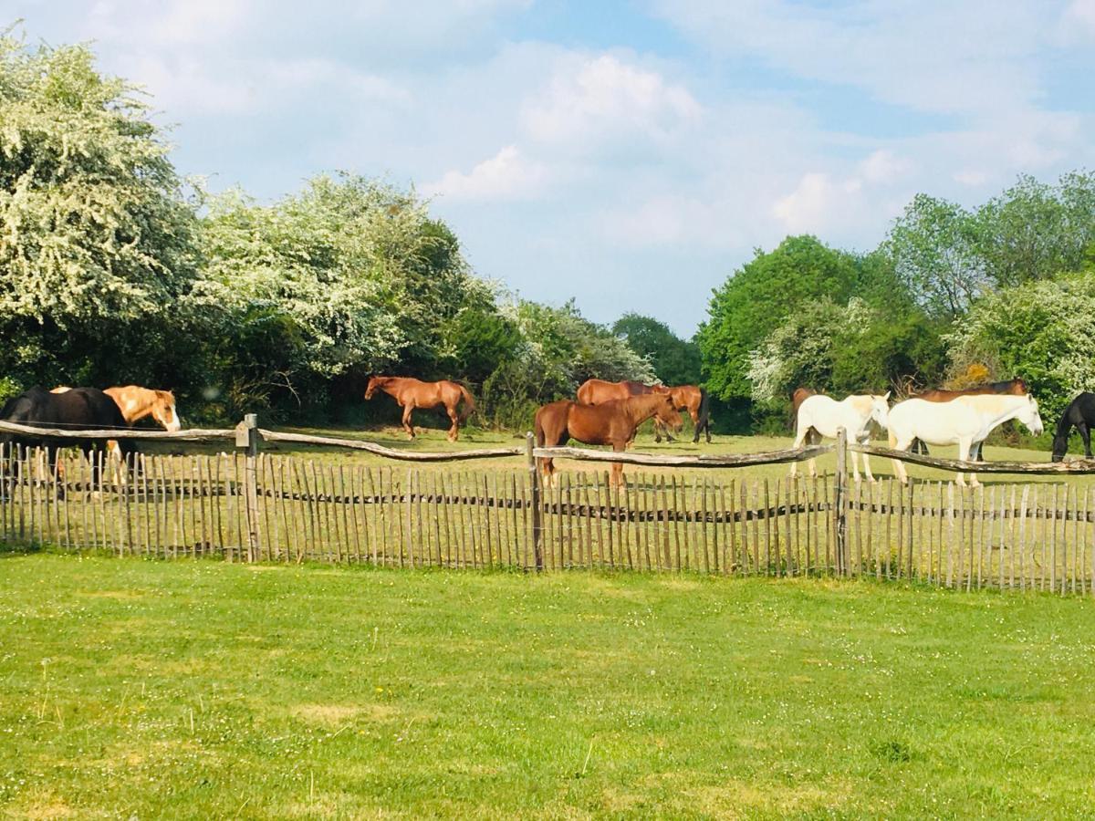 La maison aux prés Durbuy Esterno foto